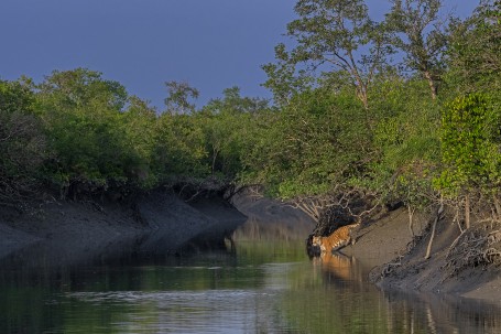 Aug'19 inPA Nature Contest