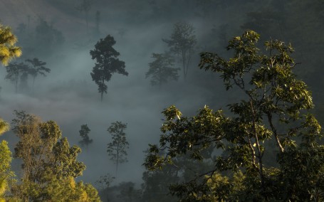 Shrouded By Serenity