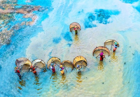Colorful Fishing
