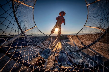 Evening Fishing 