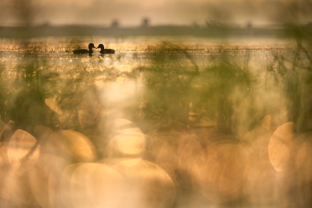 Romantic couple in sunset