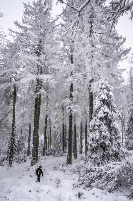 Blend in the natural monochrome