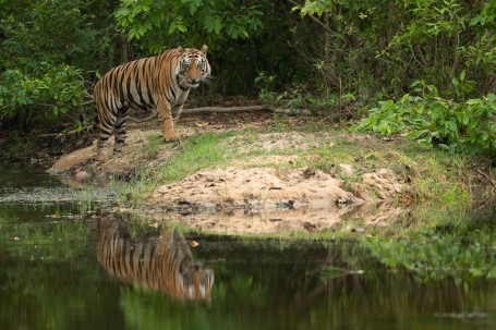 Reflection of Raw Power.