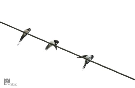The Balancing