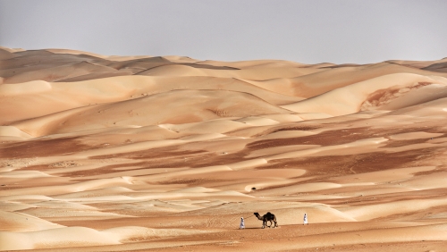 Land of Black Gold