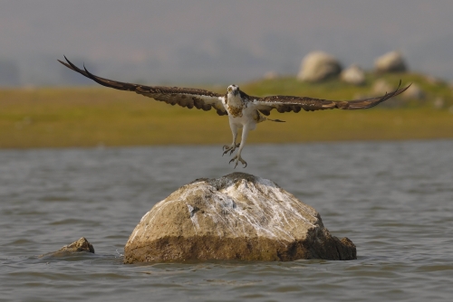 i'll spread my wings and i'll learn to fly , i'll do what it takes till i reach the sky . 