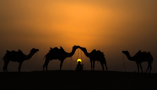 Sunset kiss