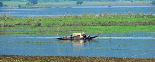 Boatman