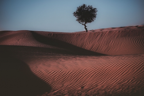 Standing Alone...