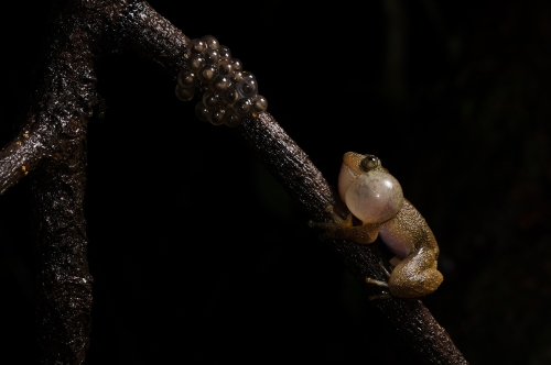 March 2016 Nature Contest