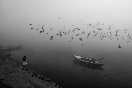 Winter Birds of the Ganges.