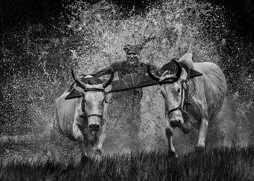 The splash