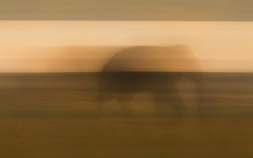 Vanishing Giants