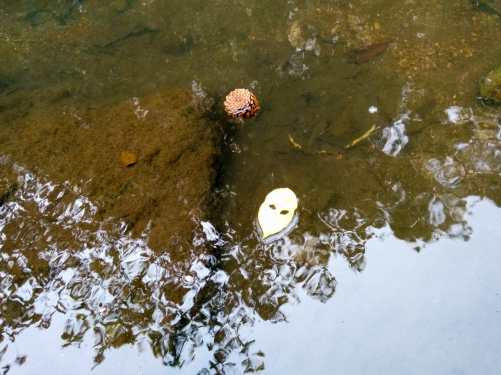 Nature can only litter 