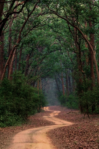 The path to Wilderness