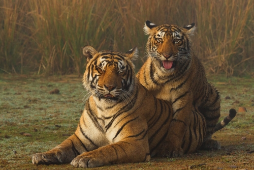 December 2015 Nature Contest