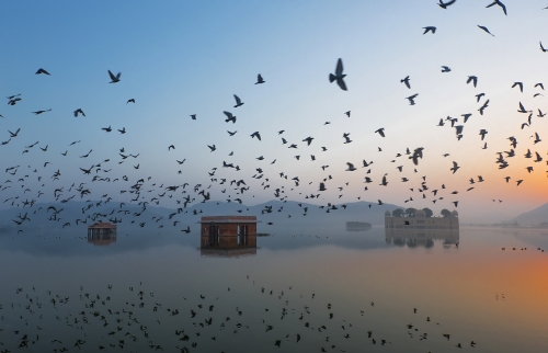 Jal Mahal during Sunrise